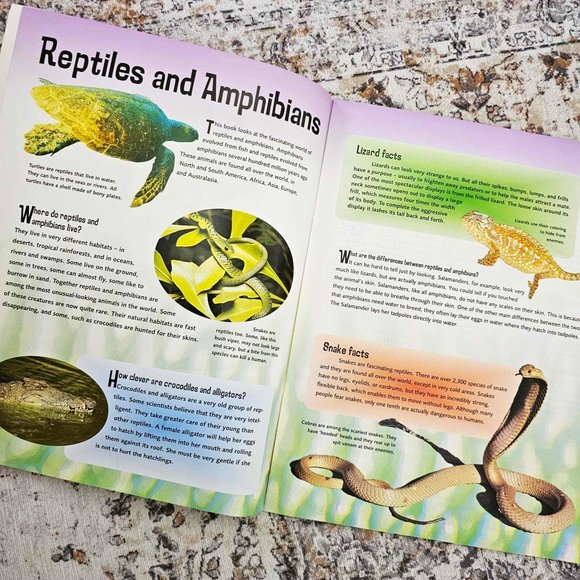 Set of 2 Children's Sticker Books. "Slimy & Scaly" and "Wet & Wild" . Softcover. - Picture 10 of 16